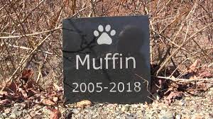 granite marker for your pet s grave