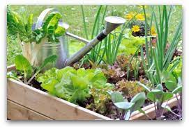 free vegetable gardening software to