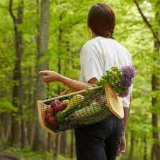 30 Best Gift Ideas For Gardeners In