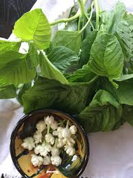 Thotakura which is referred as amaranth (in english) is a delicious leafy vegetable related to spinach family and. Thotakura Amaranthus Dubius Says Hello To Jasmine Healthy Recipes Healthy Nutritious Meals