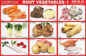 Spectrum Educational Charts Chart 435 Root Vegetables 1