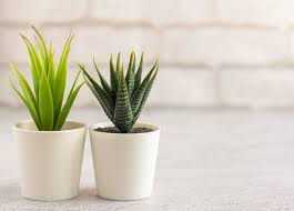 indoor artificial plants
