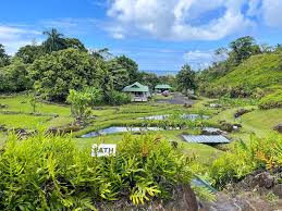 visit limahuli garden on kauai