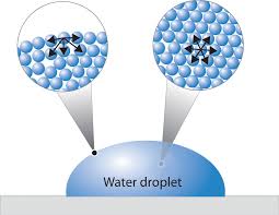 When molecules of water form flexible piles which stay together because of hydrogen bonding because of its molecular structure and the hydrogen bonding between molecules. 11 4 Intermolecular Forces In Action Surface Tension Viscosity And Capillary Action Chemistry Libretexts