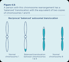 chromosome changes