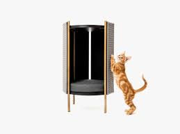 our favorite fancy cat furniture 2024
