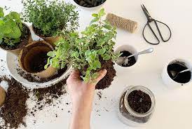 This Diy Indoor Herb Garden Can Be Made