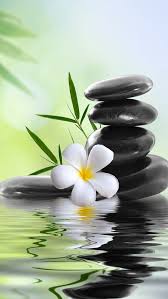 Nature Spa Stones Flowers Relax Water