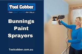 Bunnings Paint Sprayers Our Top