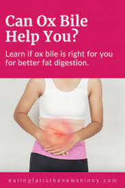 is ox bile right for you improve fat