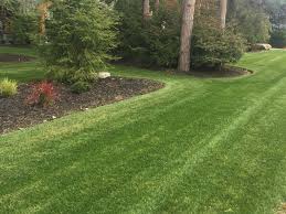 Mississauga Lawn Mowing Grass Cutting