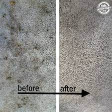 effective diy carpet stain remover