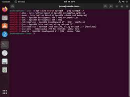 install openjdk 17 on ubuntu 22 04