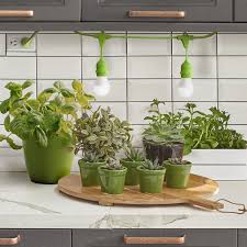 Kitchen Gardener Indoor Herb Garden Kit