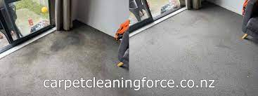 auckland carpet cleaning professional