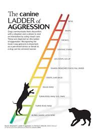 A Nonsensical Chart That Tries To Play Down Violent Dogs