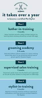 expert care in our grooming salons