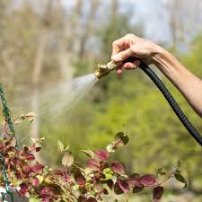 3 best expandable garden hoses 2024