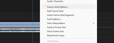 to freeze frame in adobe premiere pro