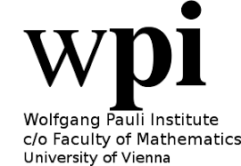 Bildergebnis für wolfgang pauli institute logo