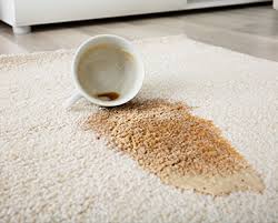 carpet cleaning s g carpet and more