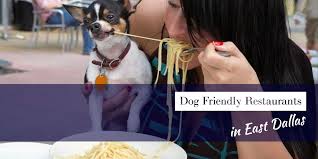 dog friendly east dallas restaurants