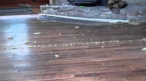 It is not easy to fix squeaky flooring underneath carpet but with the right instructions, the task can be easier. Removing Carpet Over Hardwood Floors Youtube