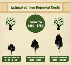 No matter the reason, advanced tree is here to help. Best Price Tree Removal In Memphis Tn Cvs Home