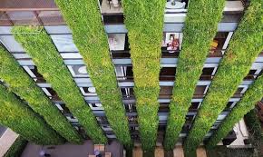 The Best And Biggest Vertical Gardens