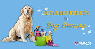 the best cleaners for dog owners sit