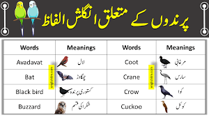 birds names list in english with urdu