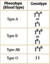 Monohybrid Cross Problem Set