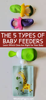 5 por baby food feeder options to