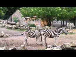 essay on zoo park Inditales