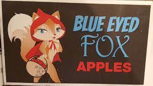 Blue Eyed Fox Apples by MarcusStarkiller -- Fur Affinity [dot] net