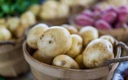 What is a good substitute for Yukon Gold potatoes?