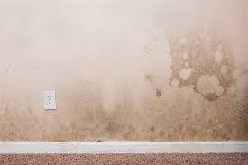 How To Determine Drywall Water Damage