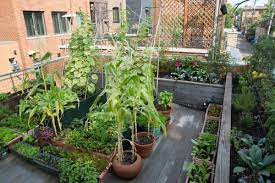 How To Make An Urban Vegetable Garden