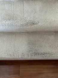 marissa s carpet upholstery reviews