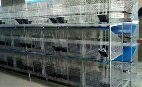 According to reputable sources i've seen, commercial meat processors pay anywhere from $1 to $2 per pound for live rabbits. Rabbit Cage