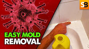 shower mold removal super easy