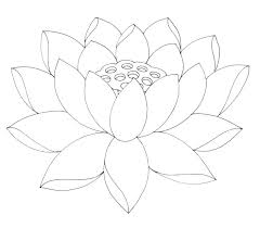 Flowercoloring Pages Flower Outline Printable Lotus Flower Craft