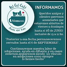 ADRIANUZCA'S CAT CAFÉ, Punta del Este - Fotos, Número de Teléfono y  Restaurante Opiniones - Tripadvisor