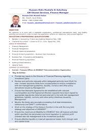 Excellent work experience professional chartered accountant resume sample