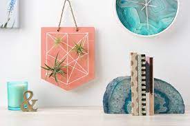 Diy Air Plant String Art Tutorial With