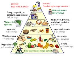 The New Food Pyramid Satu Nutrition Your Trusted Online