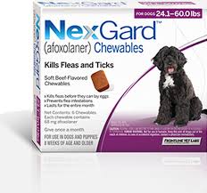 What can you do if your ead application is taking too long? Nexgard Chews For Dogs 24 1 60 Lbs 10 1 25 Kg Purple 6 Chews Sierra Pet Meds