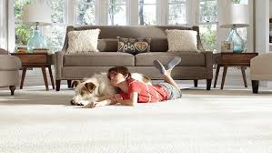 carpet cleaning in raleigh gleaming