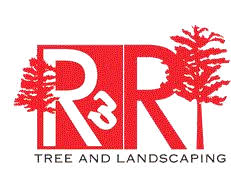 Aka tree removal has been providing professional tree services to the atlanta area for nearly 20 years. R R Tree Service Home Facebook