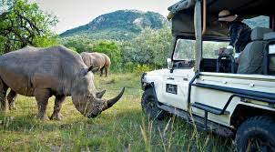 the best african safari trips are